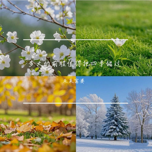 tickling orgasm丨ⅤK
